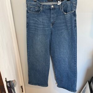 Banana Republic Blue Ankle & Cropped Jeans